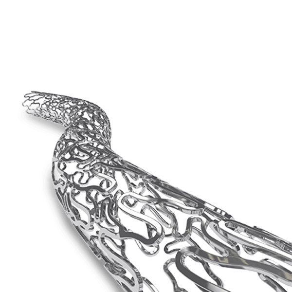 Коронарний стент BioMime